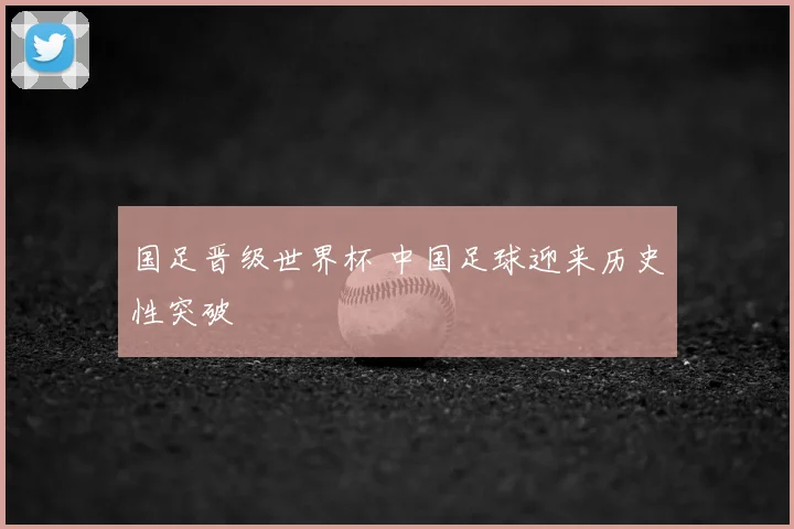 国足晋级世界杯 中国足球迎来历史性突破