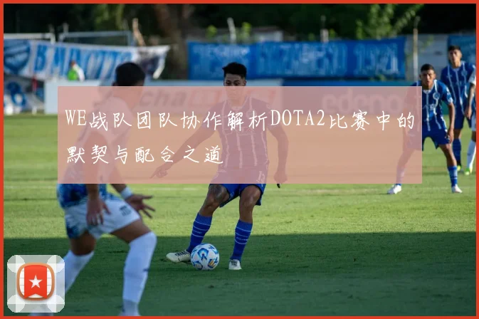WE战队团队协作解析DOTA2比赛中的默契与配合之道