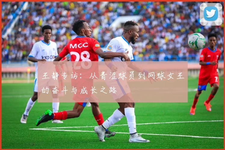 王静专访：从青涩球员到网球女王的奋斗与成长之路