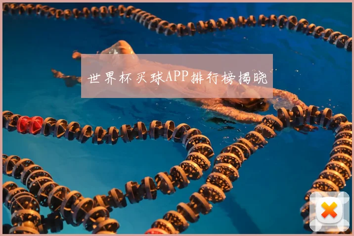 世界杯买球APP排行榜揭晓