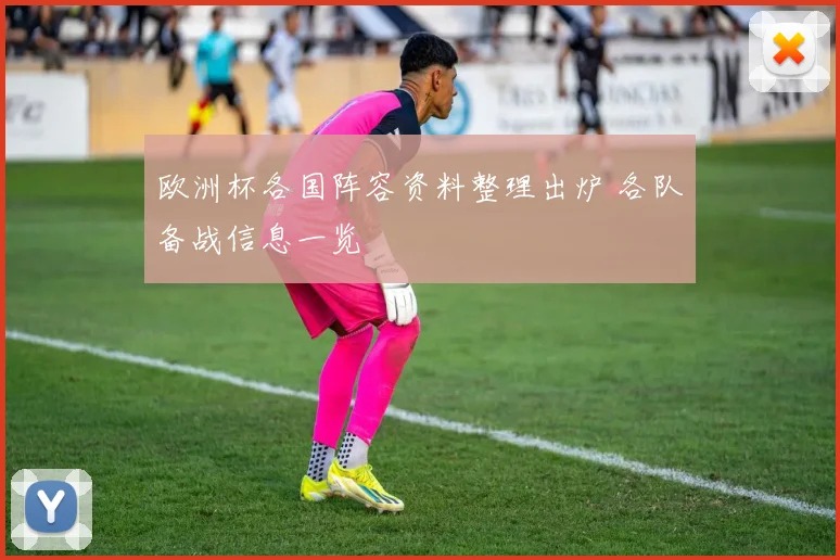 欧洲杯各国阵容资料整理出炉 各队备战信息一览