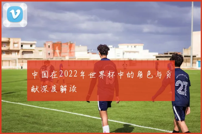 中国在2022年世界杯中的角色与贡献深度解读