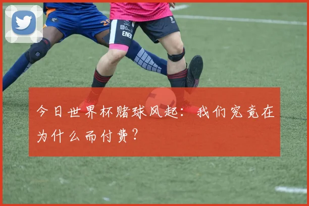 今日世界杯赌球风起：我们究竟在为什么而付费？