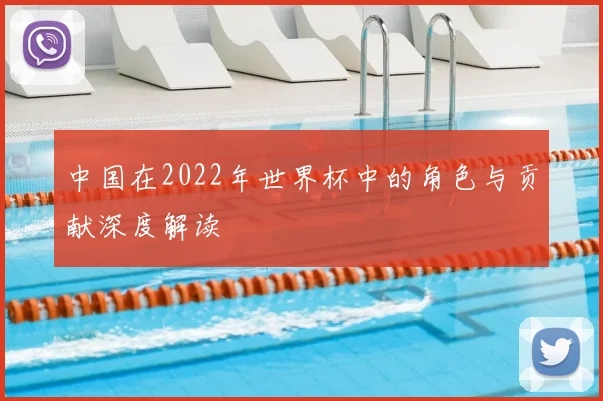 中国在2022年世界杯中的角色与贡献深度解读