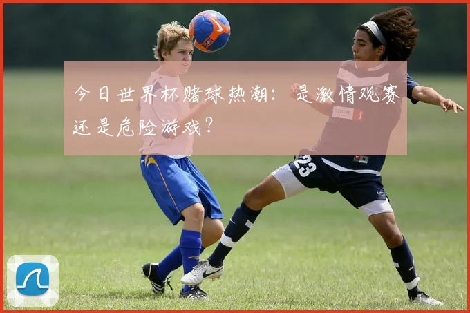 今日世界杯赌球热潮：是激情观赛还是危险游戏？
