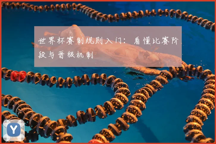 世界杯赛制规则入门：看懂比赛阶段与晋级机制