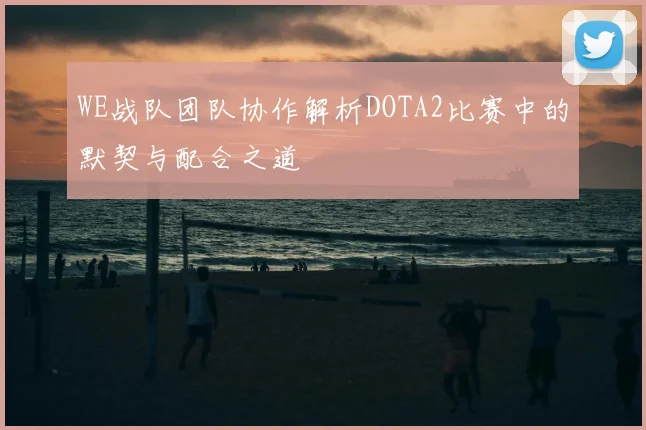 WE战队团队协作解析DOTA2比赛中的默契与配合之道