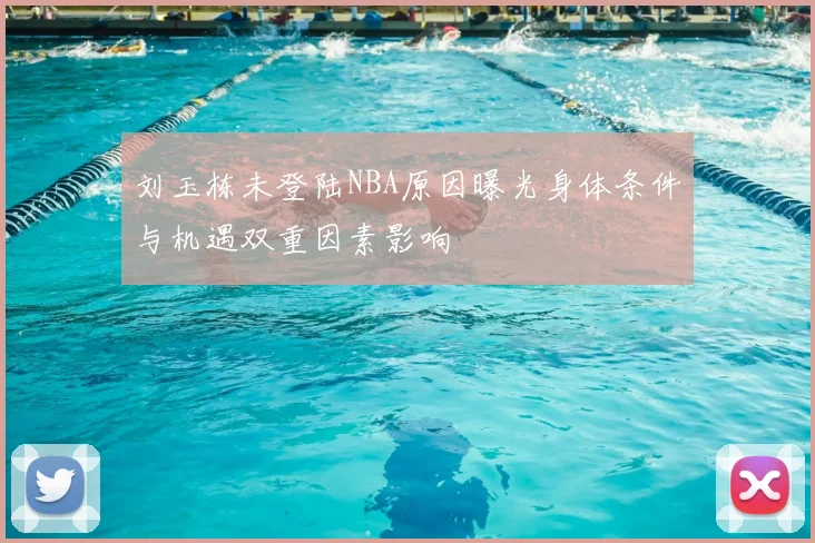 刘玉栋未登陆NBA原因曝光身体条件与机遇双重因素影响