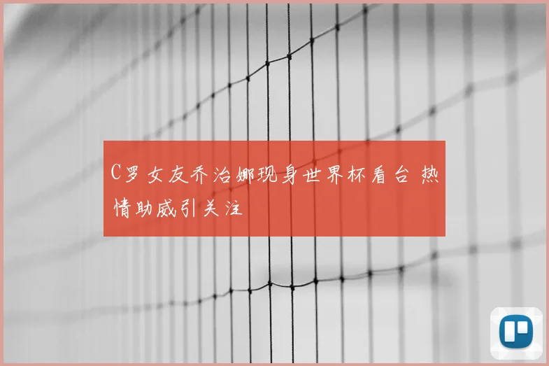 C罗女友乔治娜现身世界杯看台 热情助威引关注